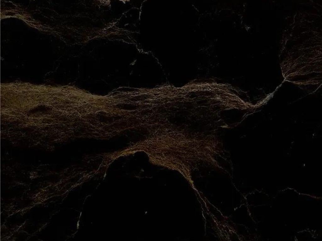 Persian Spider Marble Dehbid natural stone texture black and brawn background with gold veins